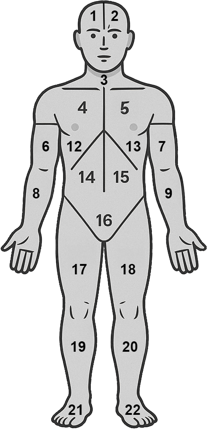 Front view body map